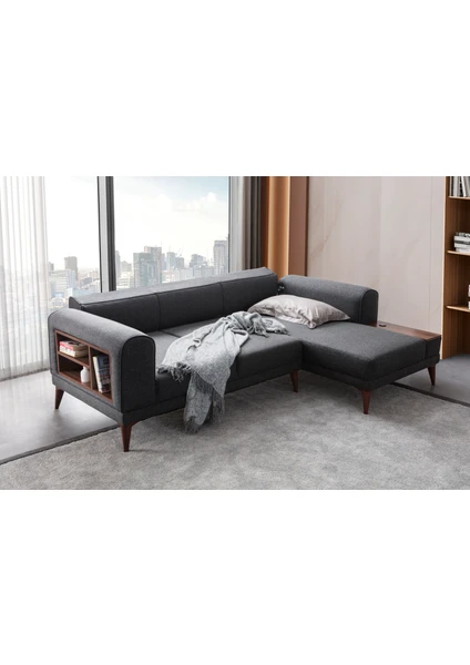 Drog Koltuk Takımı - Görünüm 2